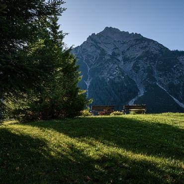 7 for 6 summer offer Autumn in the Kleinwalsertal valley